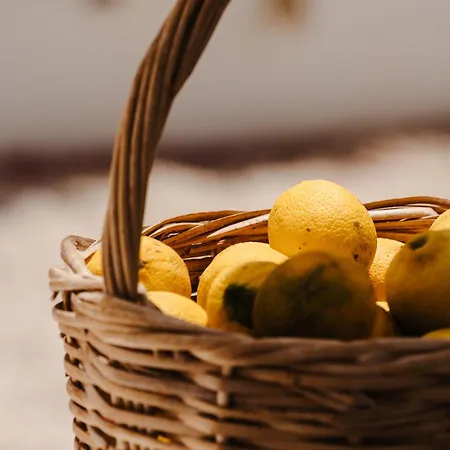 Isola Naxos 펜션 *