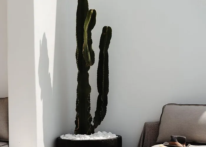 Isola Naxos Feriehus *