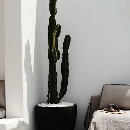 Isola Naxos Semesterbostad *